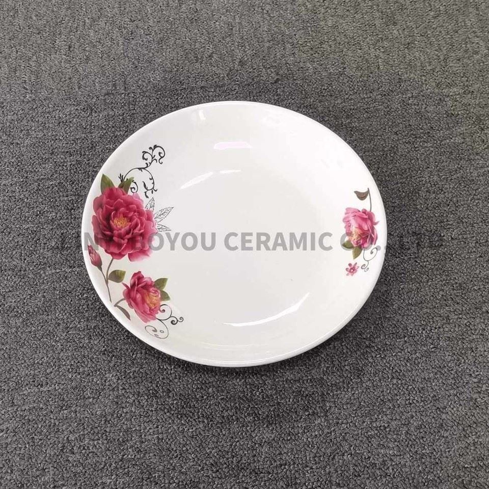 Pad‑Printed Ceramic Dinner Serving Plate