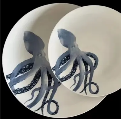 Decal Ceramic Dinner For Kitchen Home Use