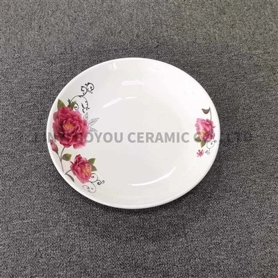 Pad‑Printed Ceramic Dinner Serving Plate