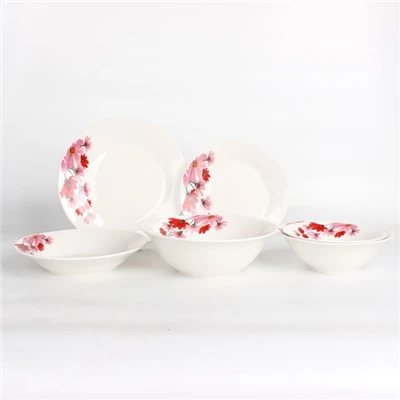 Red Pink Floral Decal Ceramic Dinnerware Set